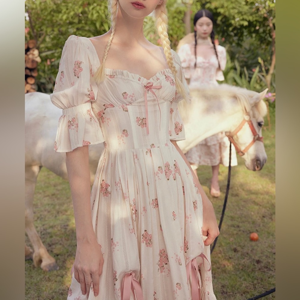 LaceMade Rose's Smile Corset Dress size small. Worn once